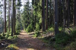 Turisté v Brdech budou mít letos více značených tras pro pěší 