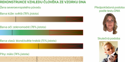 Z DNA se dá poměrně přesně vyčíst i podoba člověka