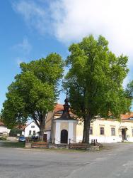 Vinařice